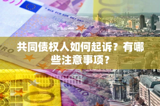 济南共同债权人如何起诉？有哪些注意事项？